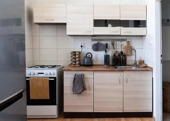 Rustic Apartment In Brno Husovice