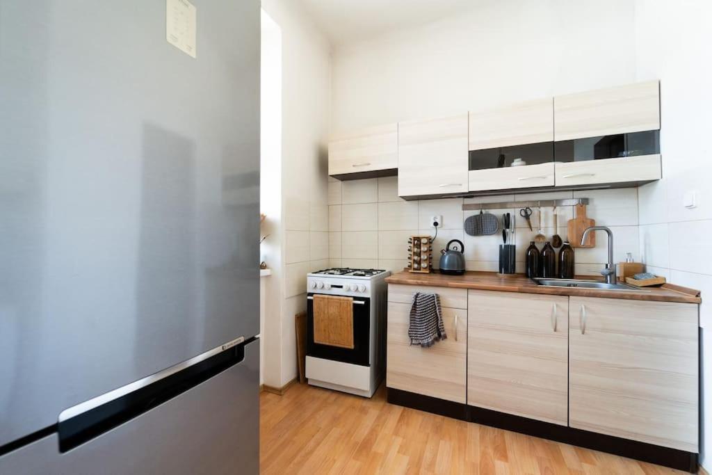 Appartamento Rustic In Husovice